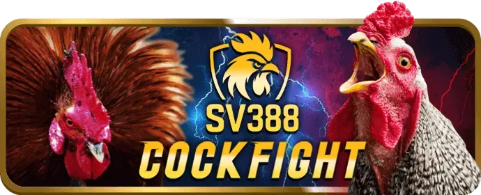Bàn chơi Sic Bo tại Bet11