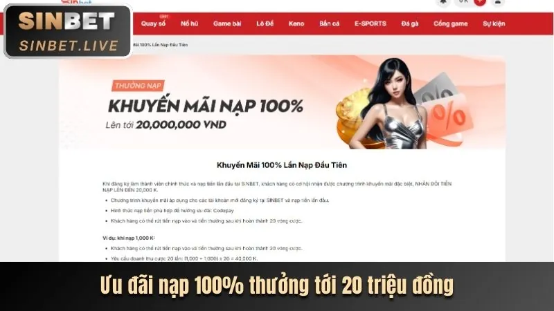 Cam kết và giá trị cốt lõi